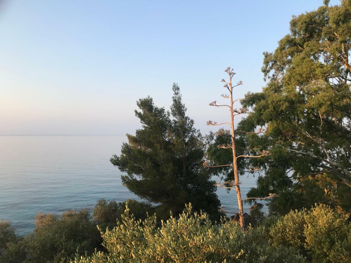 Appartements La Fossette Plage Le Lavandou Exterior foto